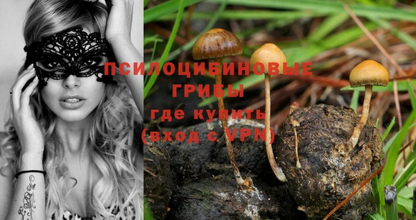 герыч Вязники