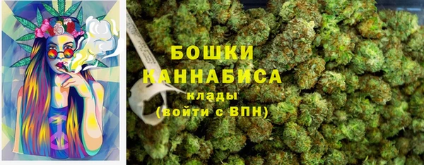дурь Вяземский