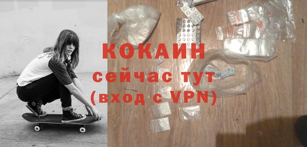 дурь Вяземский