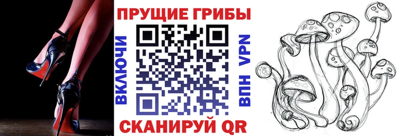 Галлюциногенные грибы Psilocybine cubensis  наркотики  Уфа 